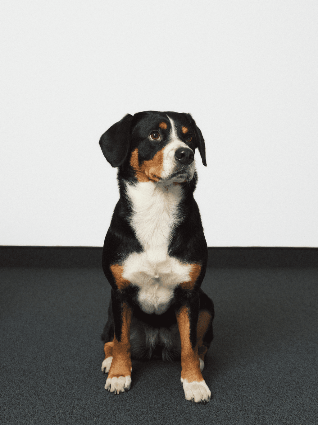 Kaya - Feelgoodmanager